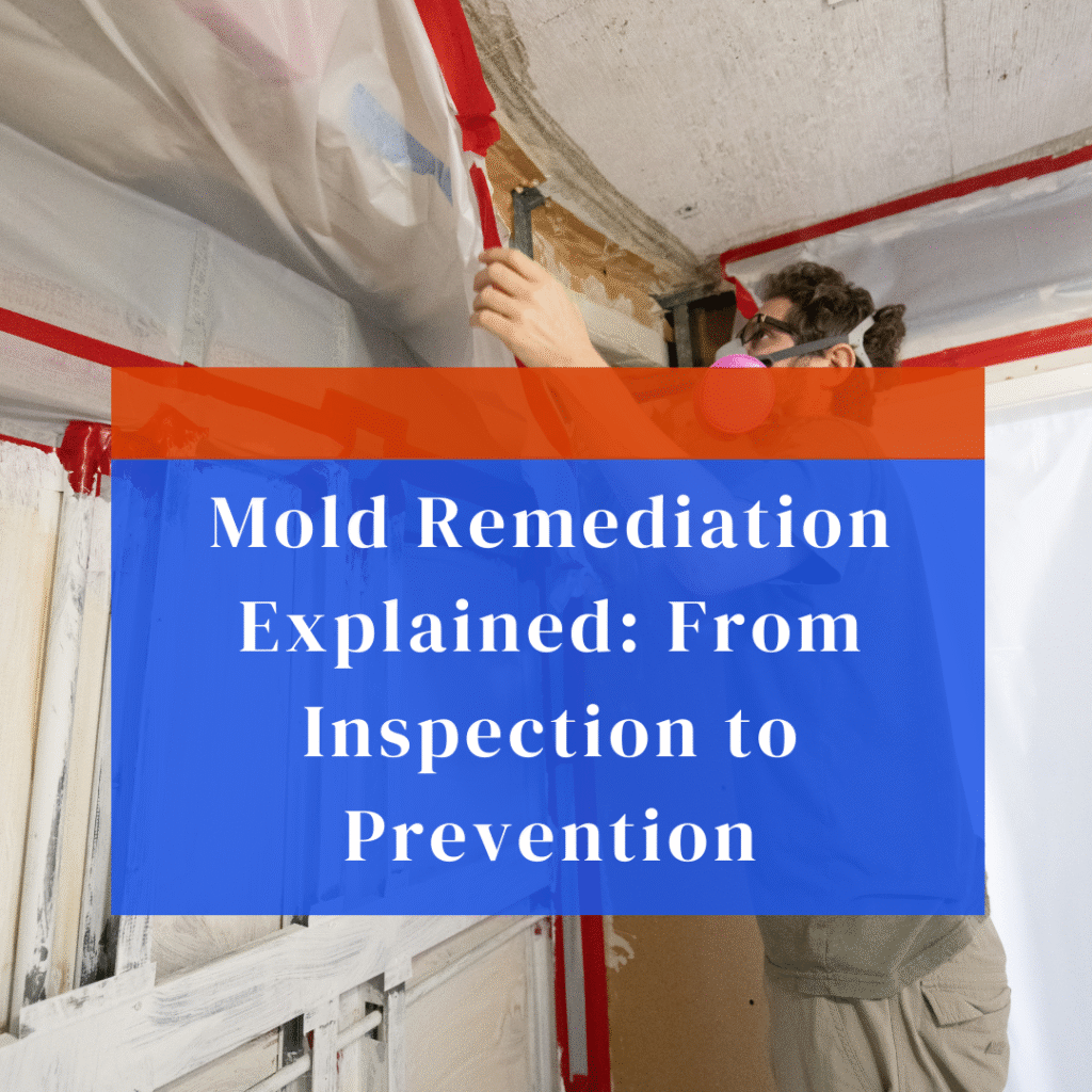Technician performing professional mold remediation inside a home, sealing walls with protective plastic during inspection and cleanup process — mold removal, home restoration, and prevention services.