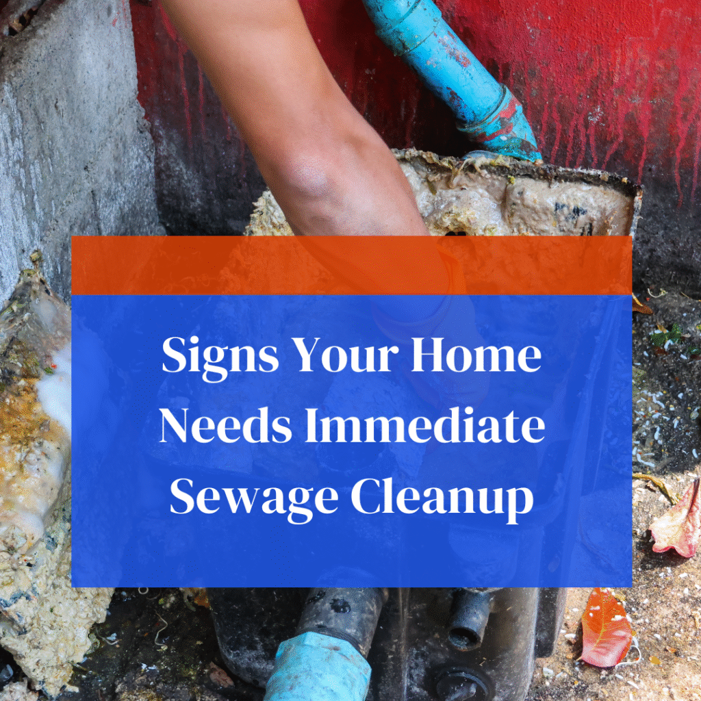 “Sewage backup cleanup technician handling contaminated water in a home to prevent health hazards and structural damage.”