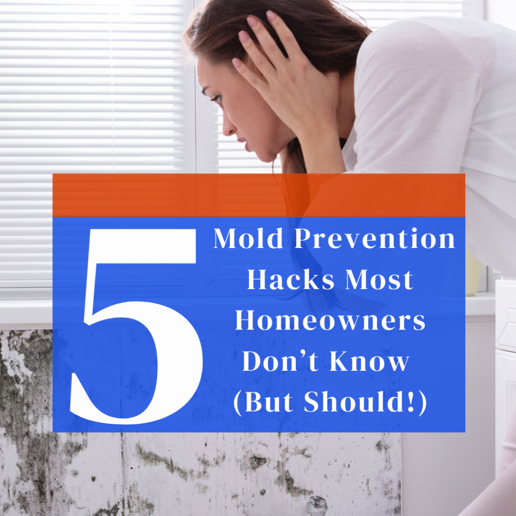 Home mold inspection with a professional using moisture meter to check walls for hidden water damage and prevent mold growth.