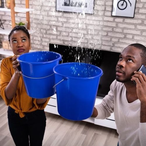 67720aff66cb4ba283495e1e_AdobeStock_246950434-p-800